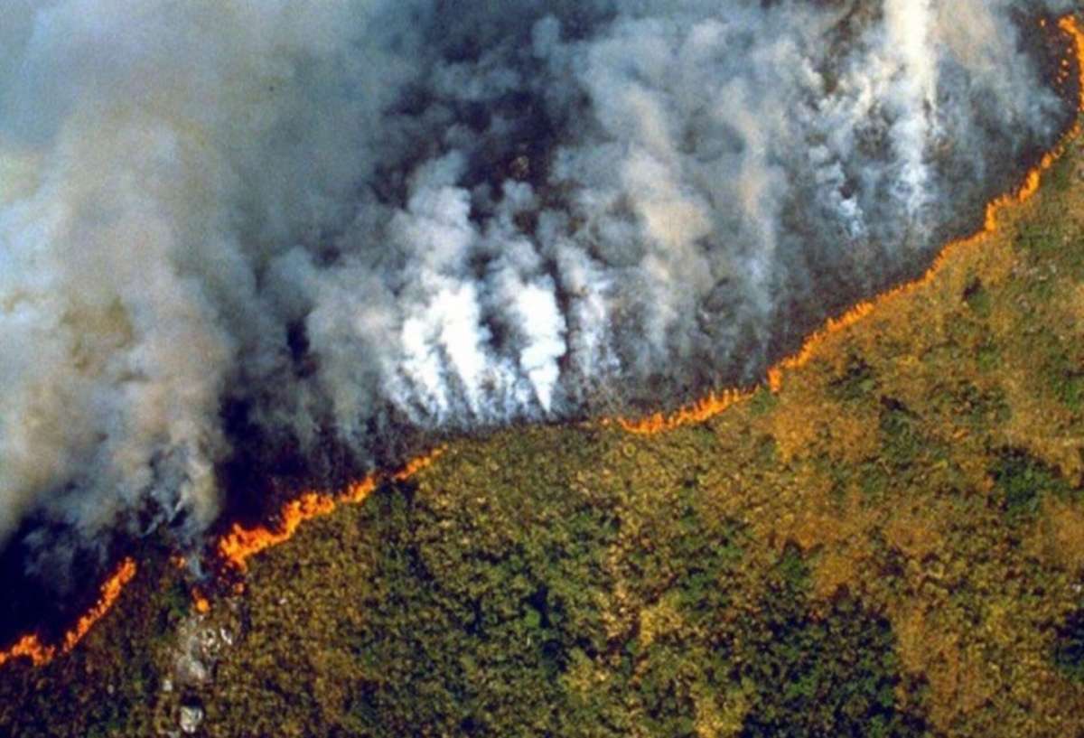 Incendios en Brasil consumen 11,39 millones de hectáreas hasta agosto