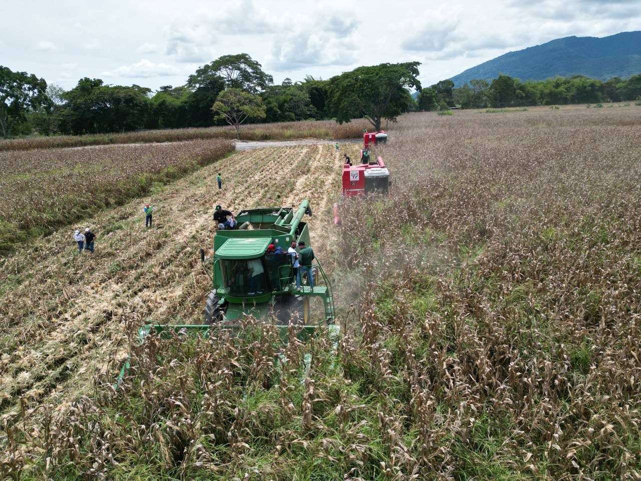 Inició ciclo de cosecha de cereales 2024