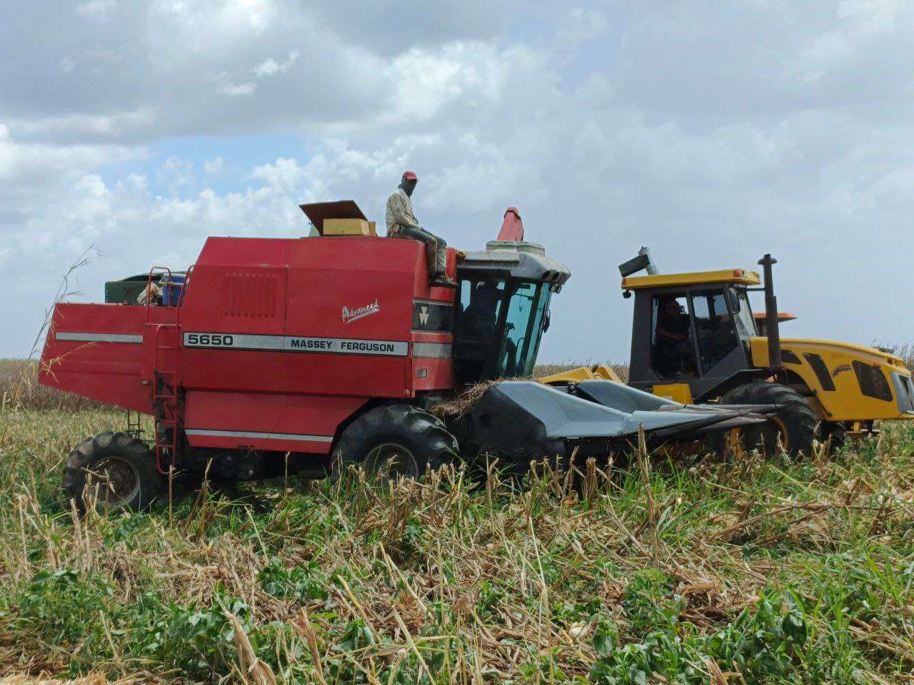 En Aragua impulsan la Producción Agroalimentaria