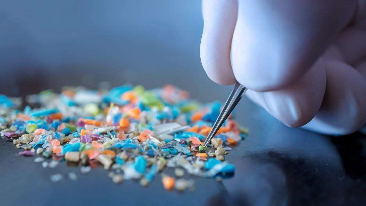 Revelan la presencia de microplásticos en órganos vitales del cuerpo humano