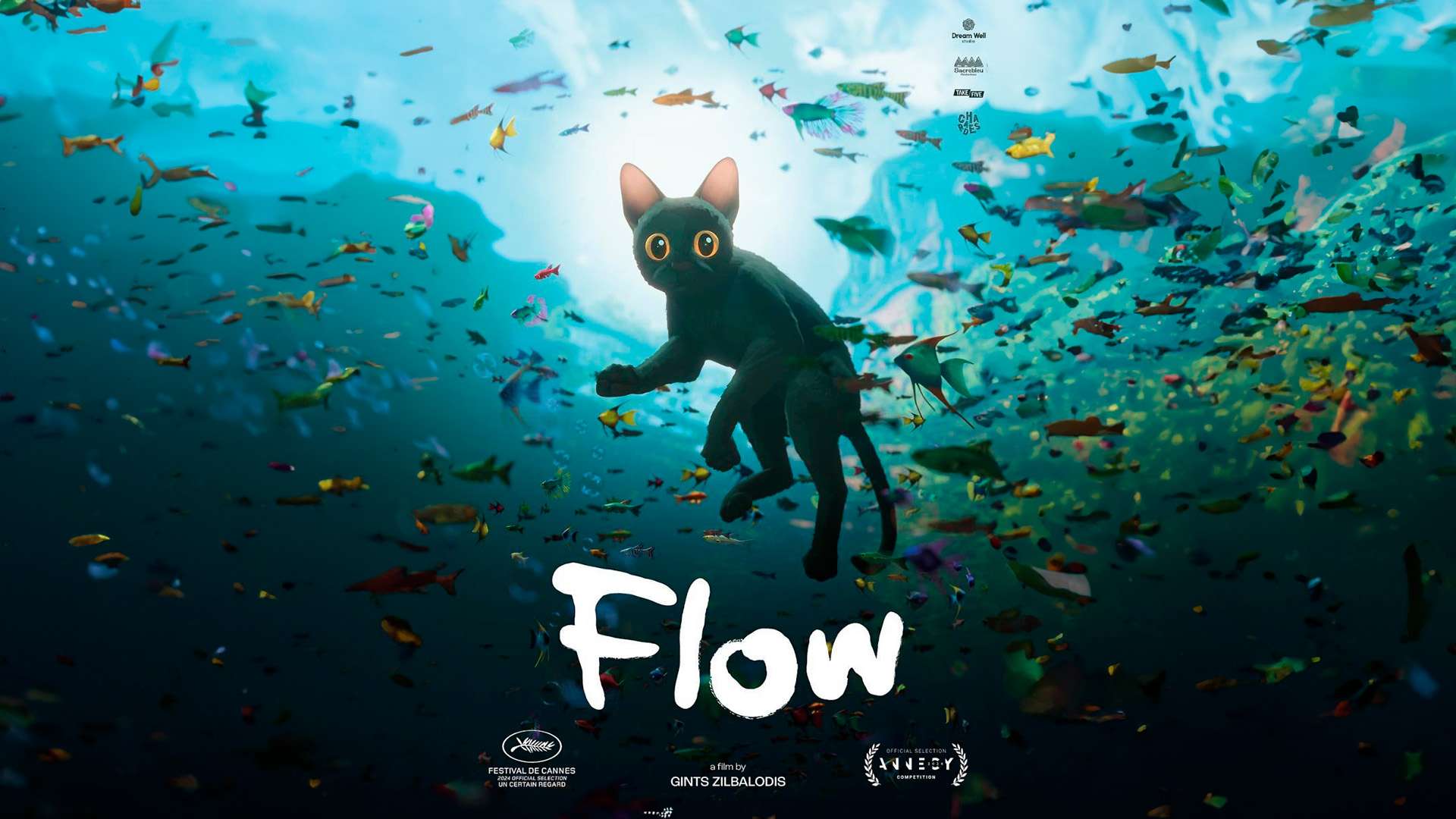 Tras el éxito de Flow en los Oscar, se estimuló la adopción de gatos negros