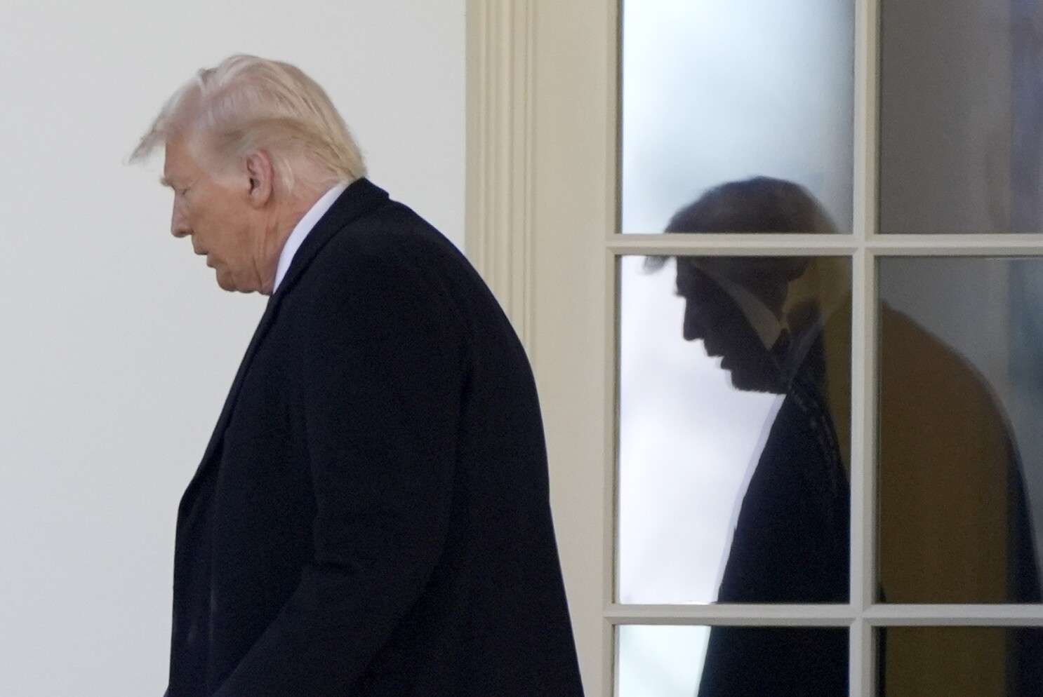 Popularidad de Trump se desploma a solo 43% y va en caída libre