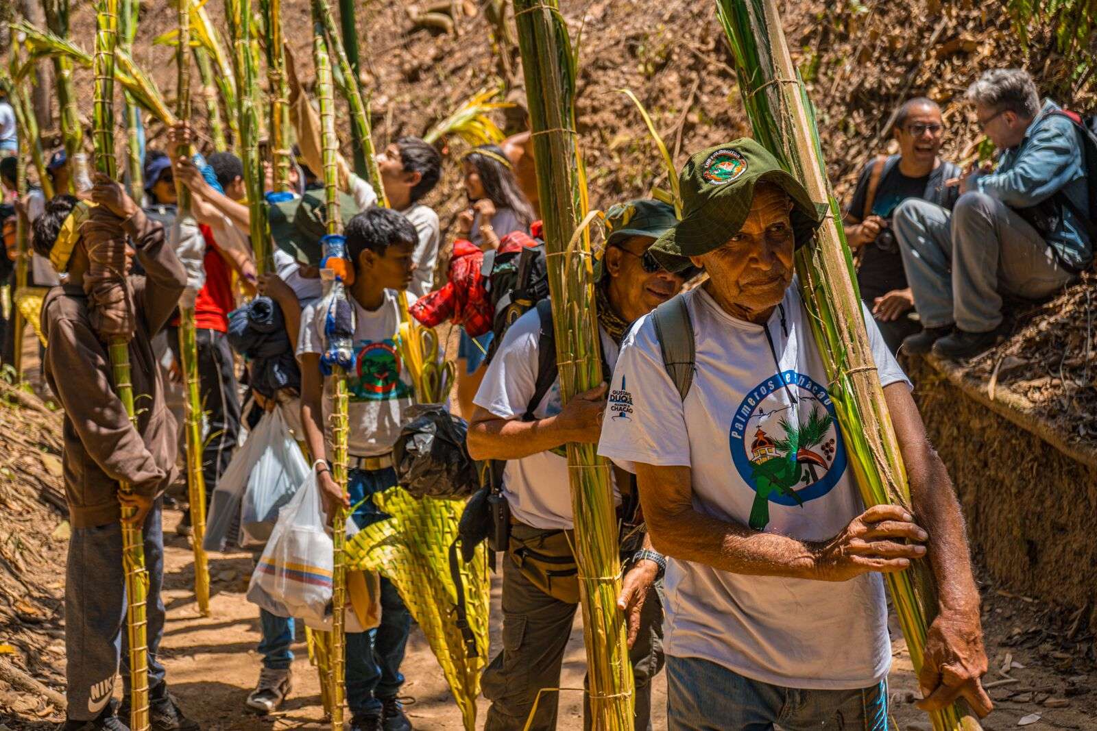 Tradición intacta: 400 Palmeros de Chacao bajaron del Waraira Repano