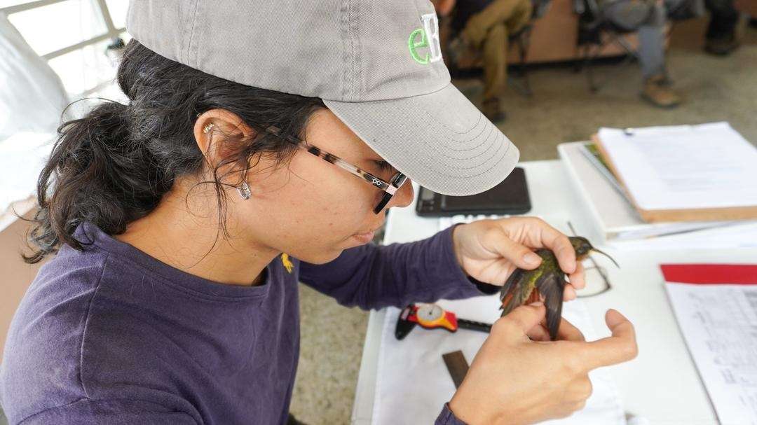 El Jardín Botánico asienta un observatorio de aves