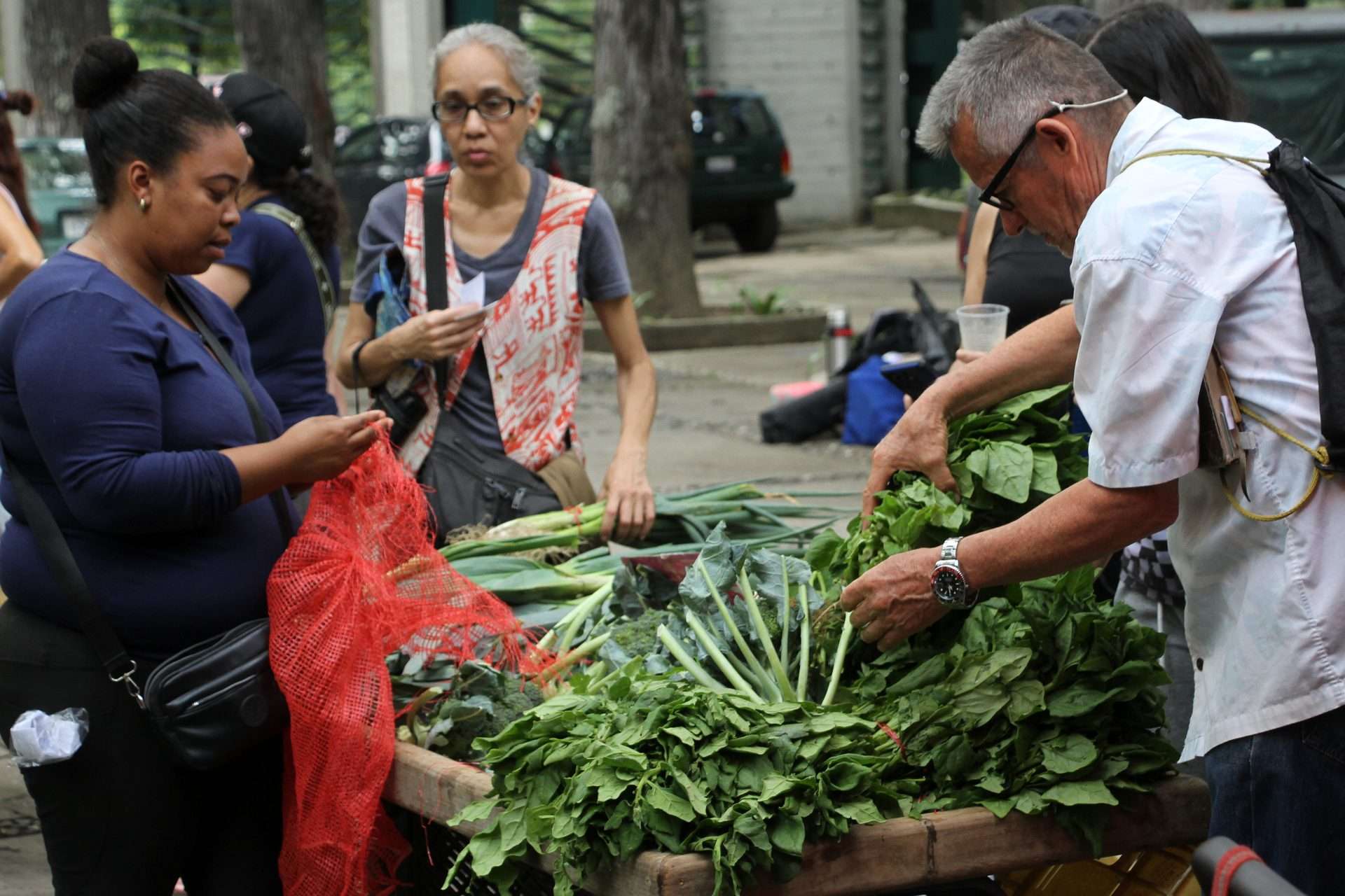 Agroproductores cumplirán 10 años con su feria en Los Caobos