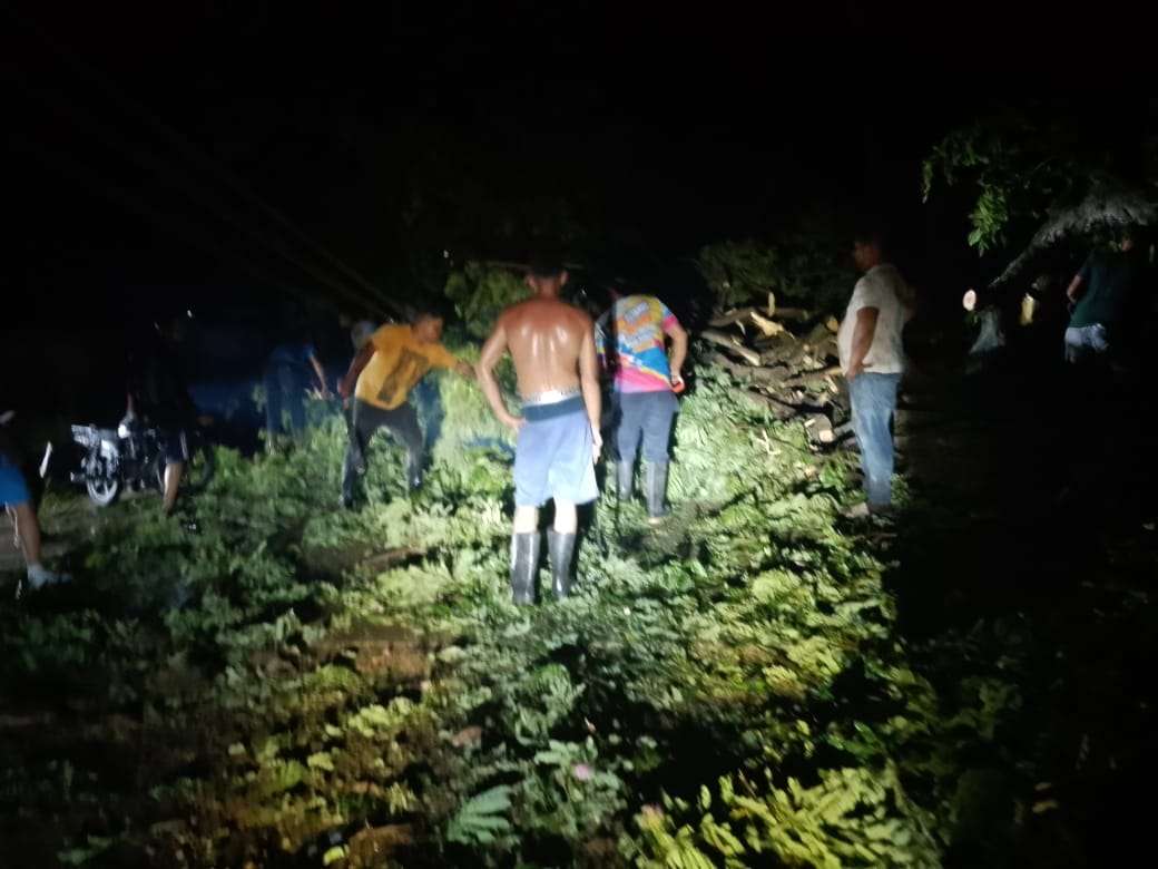 Árboles caídos y afectación del servicio eléctrico por lluvias en Trujillo