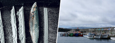 En 2001 un yate se refugió en una isla remota del Atlántico. Días después sus habitantes empanaban pescado con coca