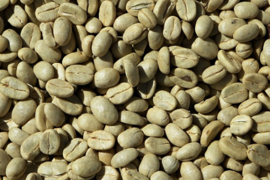 24 mil kilos de café verde del Táchira a los Estados Unidos
