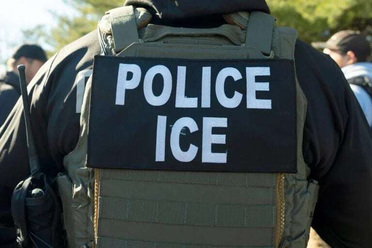 EEUU exige a empresas tecnológicas datos de personas que critican al ICE