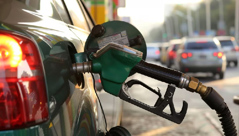 ocho estaciones de servicios formaran parte de este plan piloto