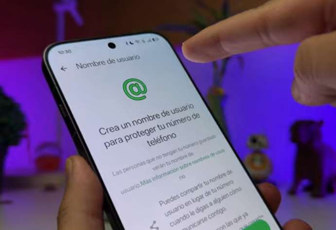 Menos números compartidos: llegan los nombres de usuario a WhatsApp