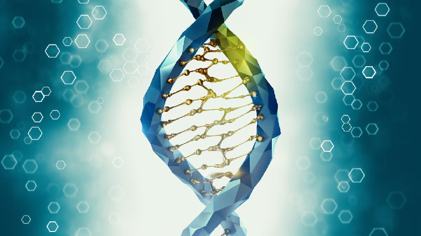 Sorprendente hallazgo que muestra cómo las bacterias fabrican su propio ADN sin copiar instrucciones