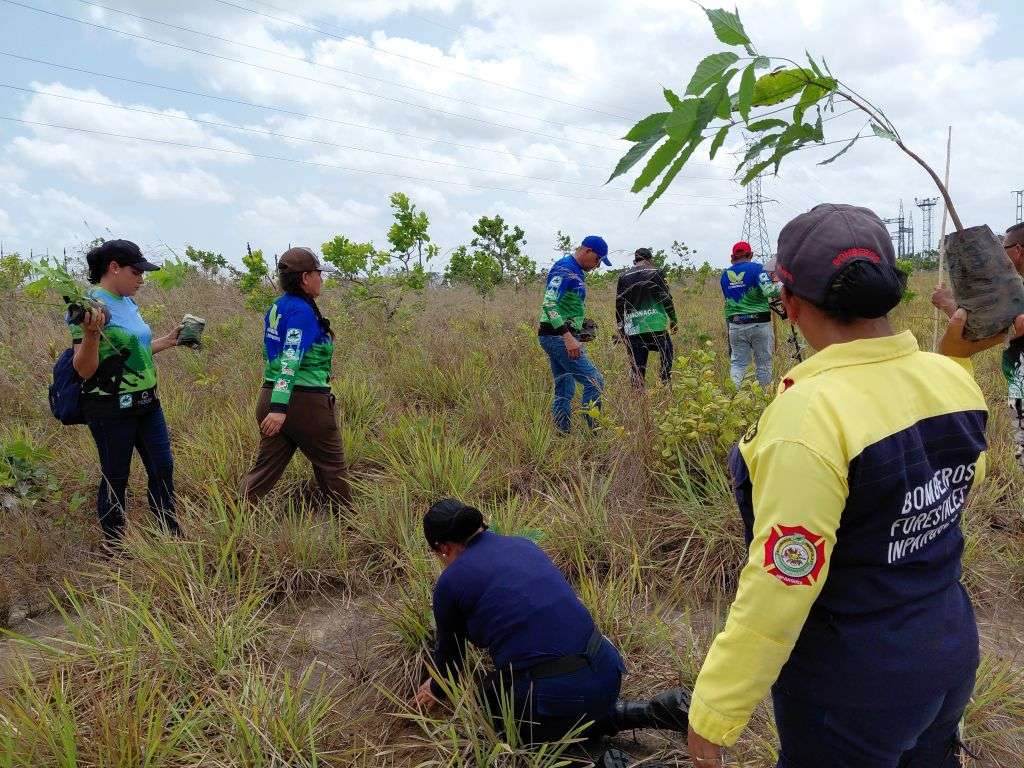 Inicia Plan de Reforestación Chuquisaca en Aragua, Monagas, Zulia y Anzoátegui