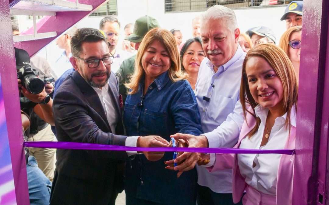Miranda tiene observatorio contra violencia de género